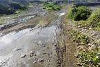 Aguas fecales en el Barranco Real de Telde (Foto TA)