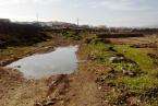 Aguas fecales en el Barranco Real de Telde (Foto TA)
