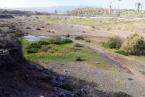 Aguas fecales en el Barranco Real de Telde (Foto TA)