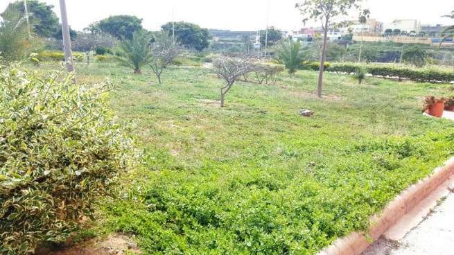 Estado descuidado del parque del Contrapeso (Foto TA)