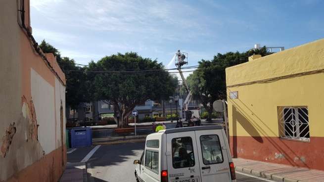 Tratamiento en un ficus del parque Franchy Roca (Foto TA)