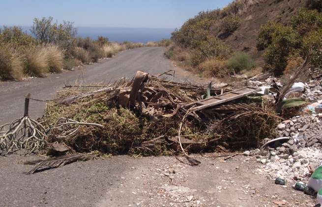 Los restos de poda y escombros se acumulan invadiendo la carretera (Foto TA)