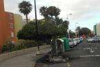 Contenedores quemados en Las Remudas (Foto 1-2) y en Marpequeña (Foto 3-8)