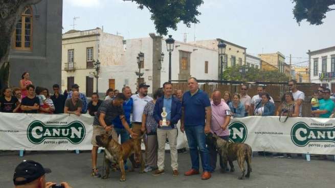El concurso se celebró en la plaza pública (Foto TA)