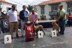 Foto TA/Teldeenfiestas.com