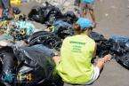 Limpieza acometida el pasado sábado en la playa de La Restinga (Foto 1-15 Asociación Fotográfica 1punto4) (Foto 16-20 Greenpeace Canarias) 