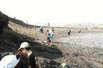Limpieza acometida el pasado sábado en la playa de La Restinga (Foto 1-15 Asociación Fotográfica 1punto4) (Foto 16-20 Greenpeace Canarias) 