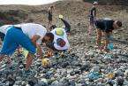 Limpieza acometida el pasado sábado en la playa de La Restinga (Foto 1-15 Asociación Fotográfica 1punto4) (Foto 16-20 Greenpeace Canarias) 