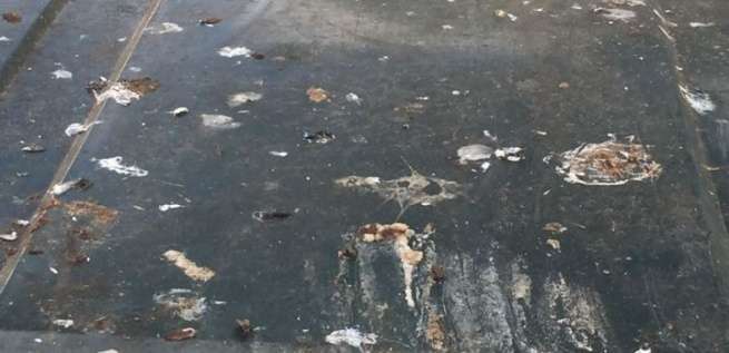 Deposiciones en las tapas de los contenedores de basura (Foto TA)