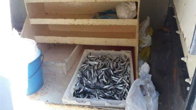 Imagen del interior del vehículo intervenido por la Policía Local de Telde (Foto TA)