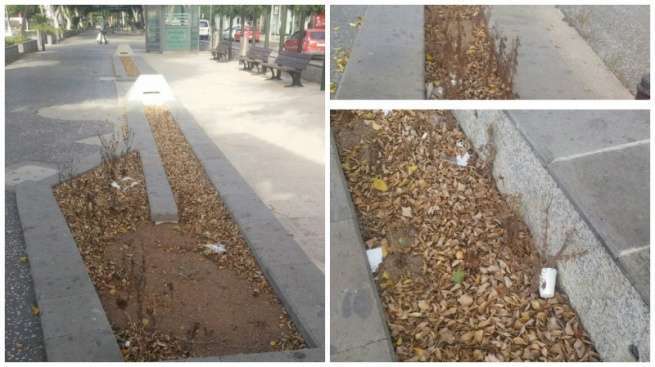 El parterre de la rambla de Arnao ofrece un aspecto descuidado (Foto TA)