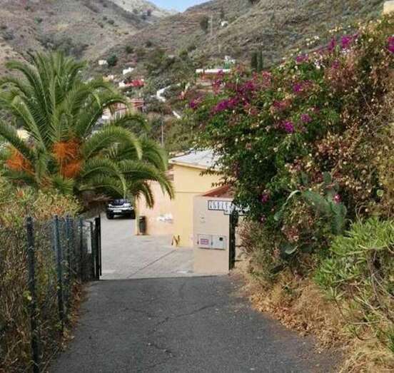Camino de acceso al colegio público (Foto TA)