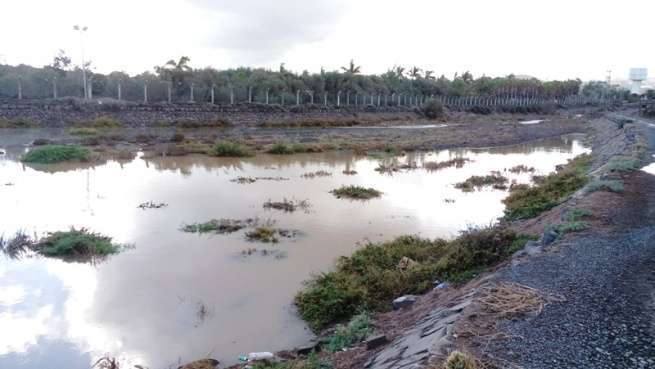 Lago de aguas fétidas en Ojos de Garza (Foto TA)