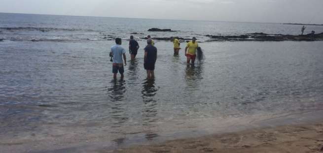 Vecinos y efectivos de Proactiva intentan localizar a las mantas (Foto María Arrieta)