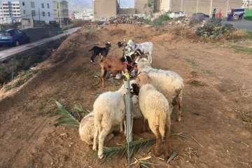 Foto TA