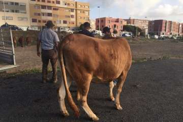 Foto TA