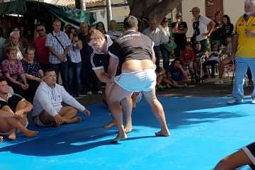 Exhibición de lucha canaria, juego del garrote y artes marciales coreanas (Foto TA)
