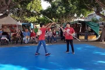 Exhibición de lucha canaria, juego del garrote y artes marciales coreanas (Foto TA)