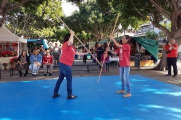 Exhibición de lucha canaria, juego del garrote y artes marciales coreanas (Foto TA)