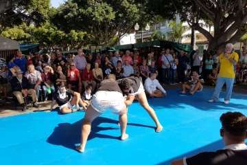Exhibición de lucha canaria, juego del garrote y artes marciales coreanas (Foto TA)