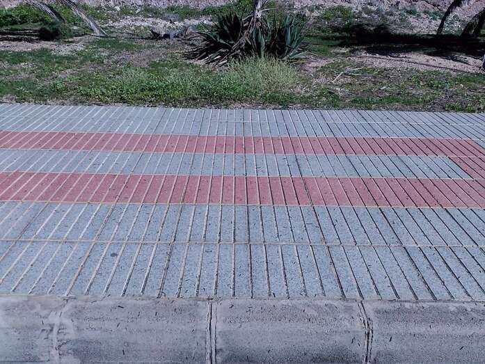 Imagen del tramo del vial costero en donde se localiza esta plaga de gusanos (Foto TA)