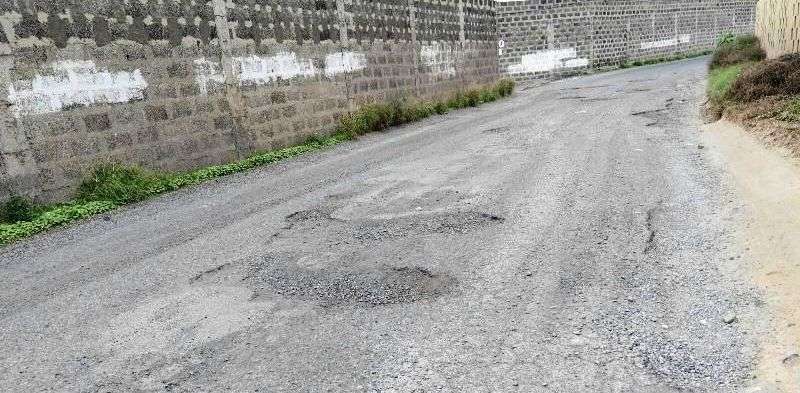 Penoso estado de la carretera de Cruz de Jerez a Las Huesas (Foto TA)