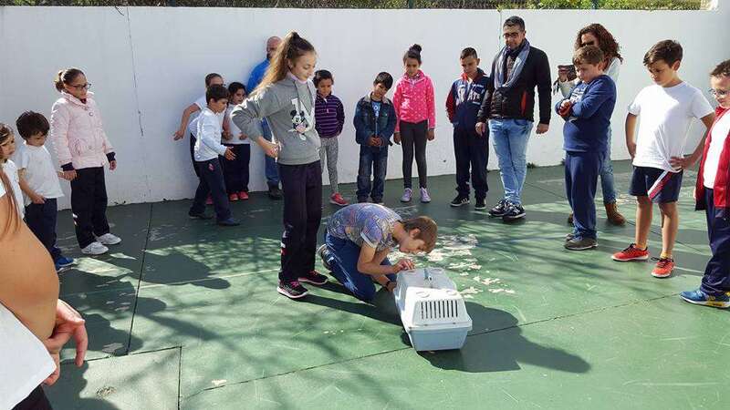 Los escolares participaron en talleres y diferentes actividades (Foto TA)