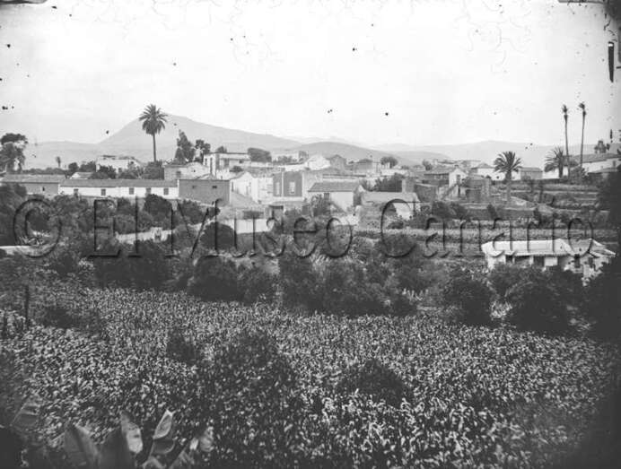 Archivo Fotográfico de Luis Ojeda Pérez de El Museo Canario