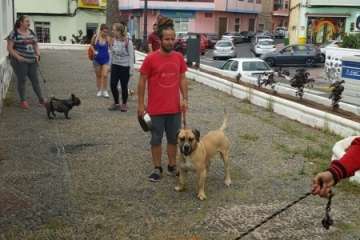 Foto Antonio Alí/TA