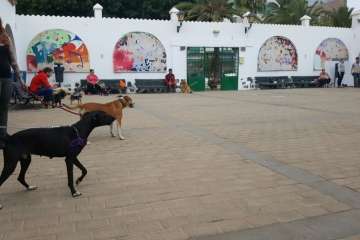 Foto Antonio Alí/TA