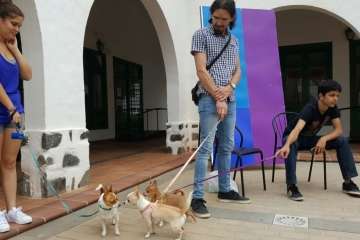 Foto Antonio Alí/TA