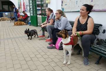 Foto Antonio Alí/TA