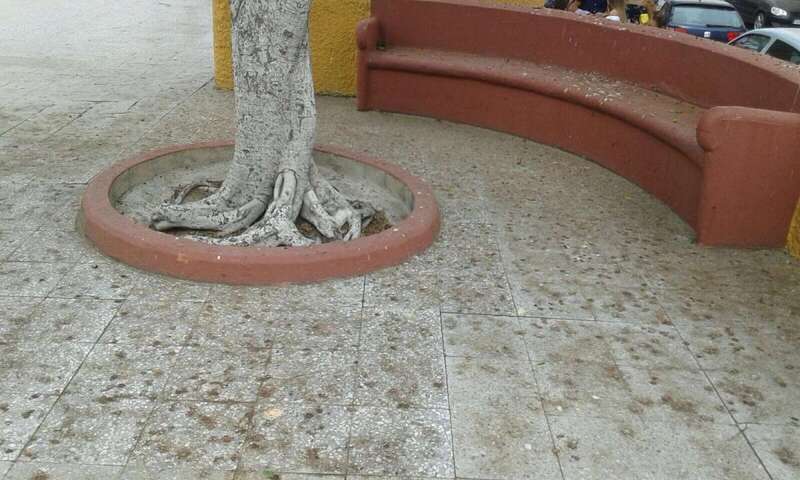 Estado de la plaza, en una imagen captada este sábado (Foto TA)