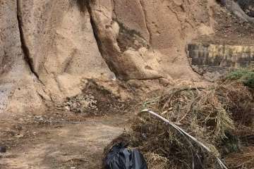 Foto Carolina Cabrera