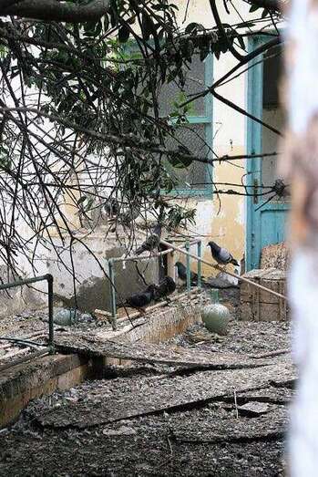 En el solar se acumula basura y excrementos de aves (Foto TA)
