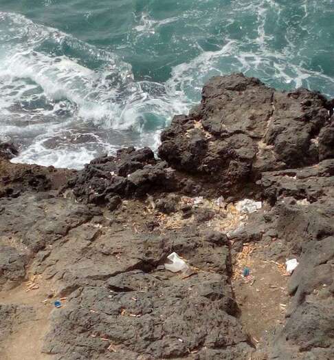 Cientos de pitillos de cigarros en los riscos de La Garita aledaños al paseo Las Delicias (Foto TA)