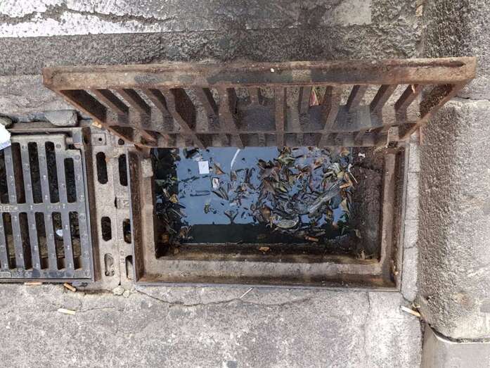 Imbornal con el agua empozada (Foto TA)