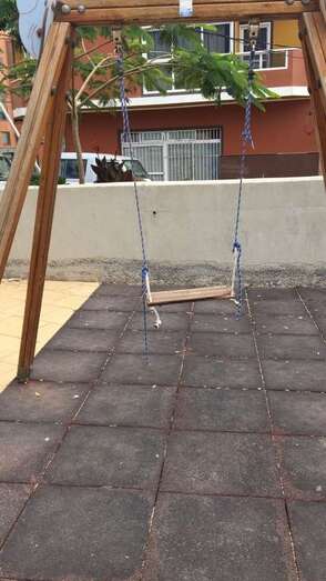 Estado de los remos (Foto TA)