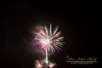 Reportaje Francisco Javier Santana