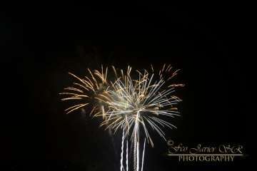 Reportaje Francisco Javier Santana