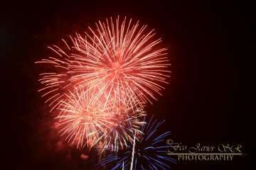 Reportaje Francisco Javier Santana