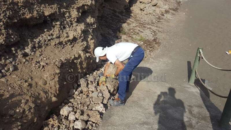 Operarios de la Concejalía han actuado este miércoles en el acceso sur (Foto TA)