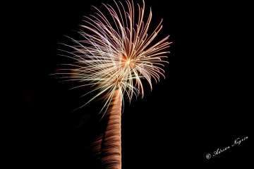 Foto Adrián Negrín Cruz.