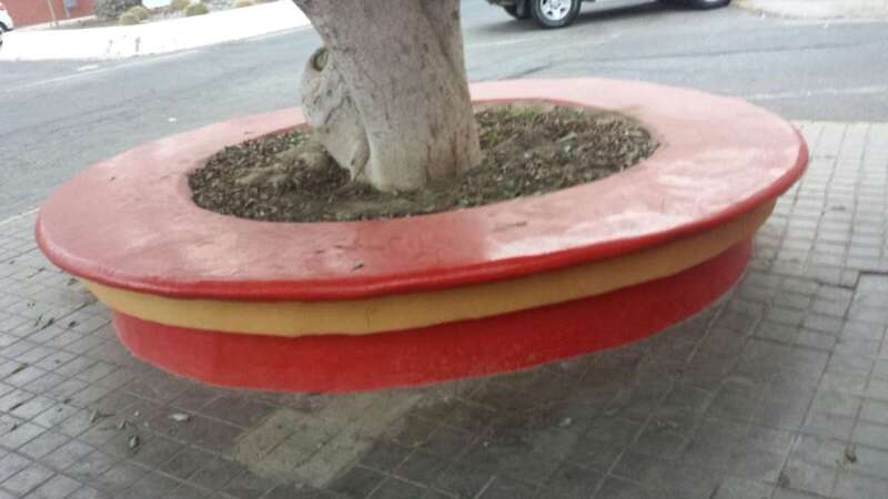 El alcorque de los árboles está lleno de suciedad y hojarascas (Foto TA)