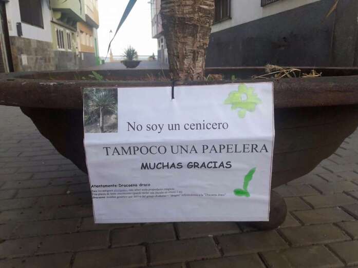 Imagen del cartel que un vecino de Clavellinas ha colocado en la maceta del drago (Foto TA)