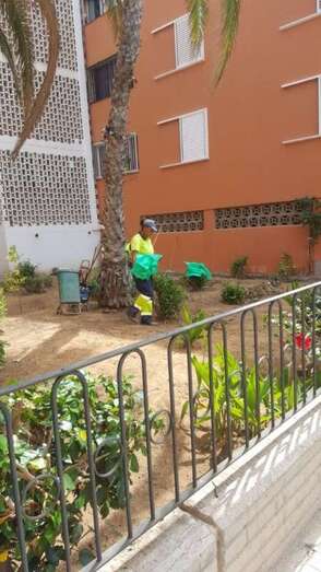 Los operarios de Parques y Jardines, trabajando en uno de los espacios verdes de Las Remudas (Foto TA)