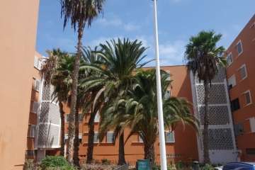 Las Remudas se queja de las támbaras pegadizas (Foto Domingo Moreno)