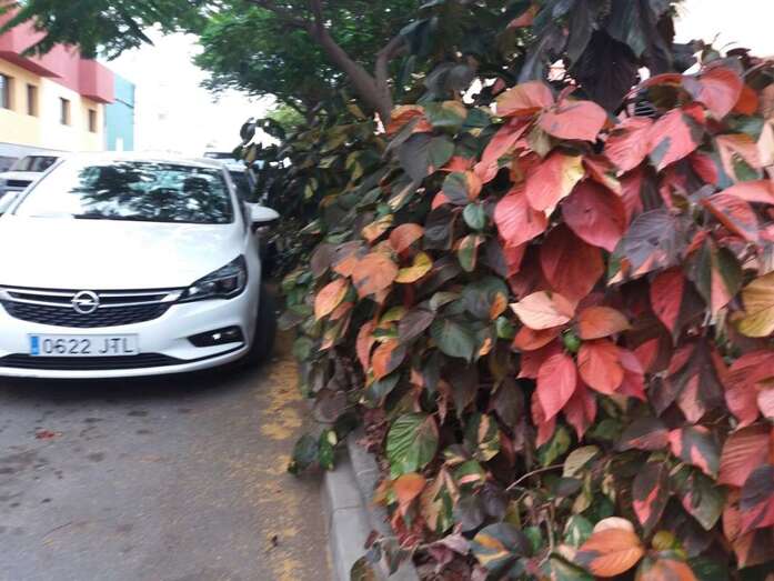 Imagen de una calle de La Herradura (Foto TA)