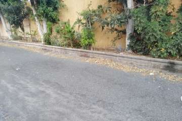 La limpieza brilla por su ausencia en calles de La Herradura (foto TA)