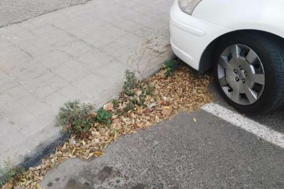 La limpieza brilla por su ausencia en calles de La Herradura (foto TA)